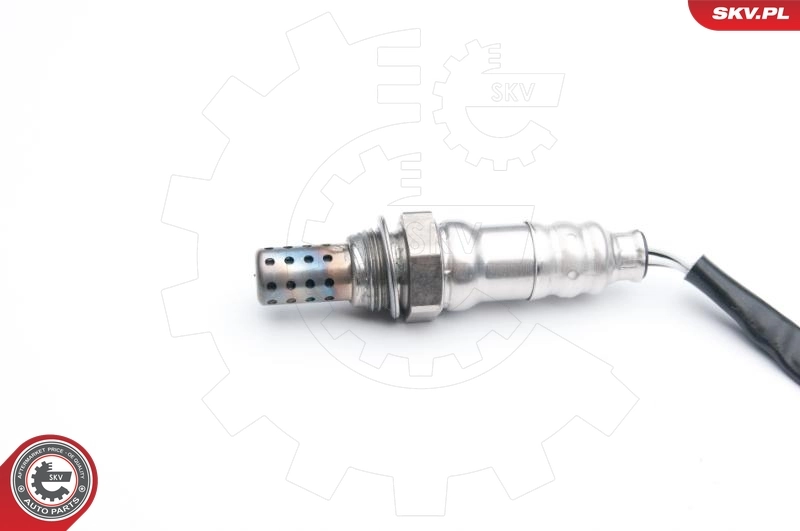Oxygen Sensor